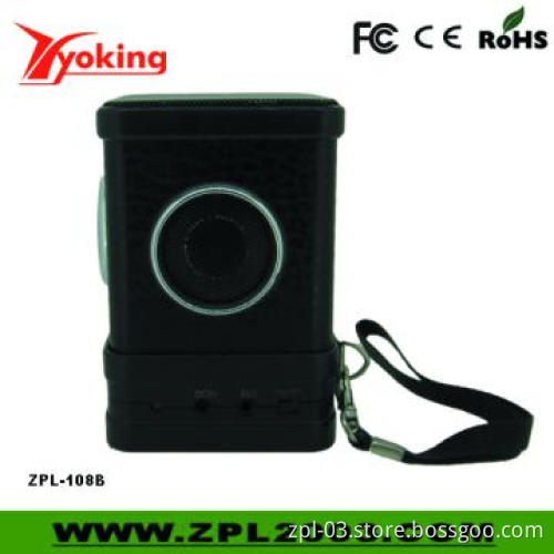Manufacturers Supply Audio Speaker with USB Input (ZPL-108B)